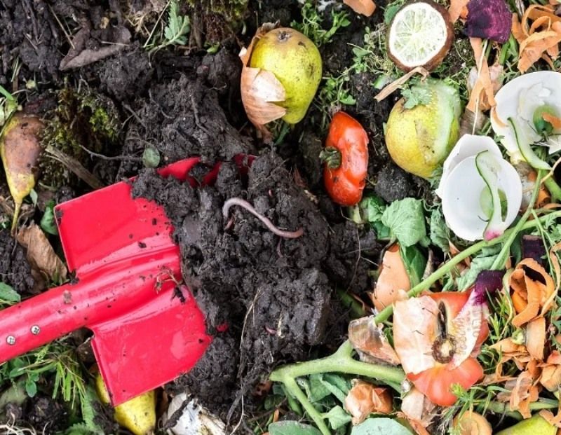 Lợi ích của thùng rác compost với gia đình