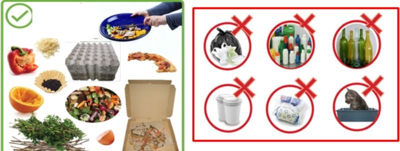 Phân loại đúng loại rác cho vào thùng compost