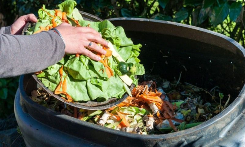 Quy trình ủ phân compost từng bước tại nhà
